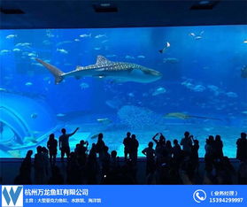 杭州大型亞克力魚缸設計公司及廠家推薦 全景展示，打造水中藝術