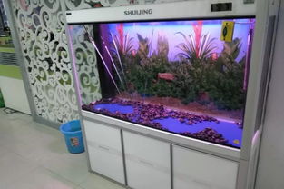 魚缸也有壽命，你的魚缸是否已“過期”？